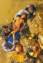 thm_FIRE-W05.gif
